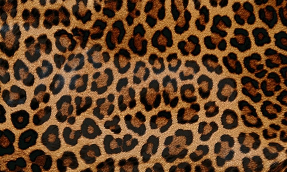 Kontroverzni dezen: Kako ove jeseni nositi leopard print