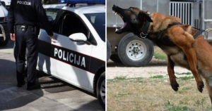 UŽAS U TRAVNIKU! Belgijski ovčar napao dijete, potom i policajce: Jedan od njih je psa upucao